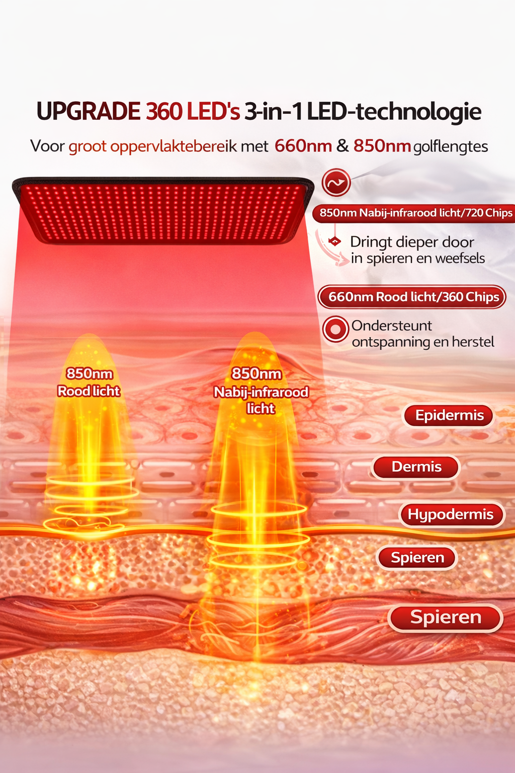 Roodlicht Verwarmingskussen & Infrarood Therapie (850nm) voor Spierpijn, Ontspanning & Herstel